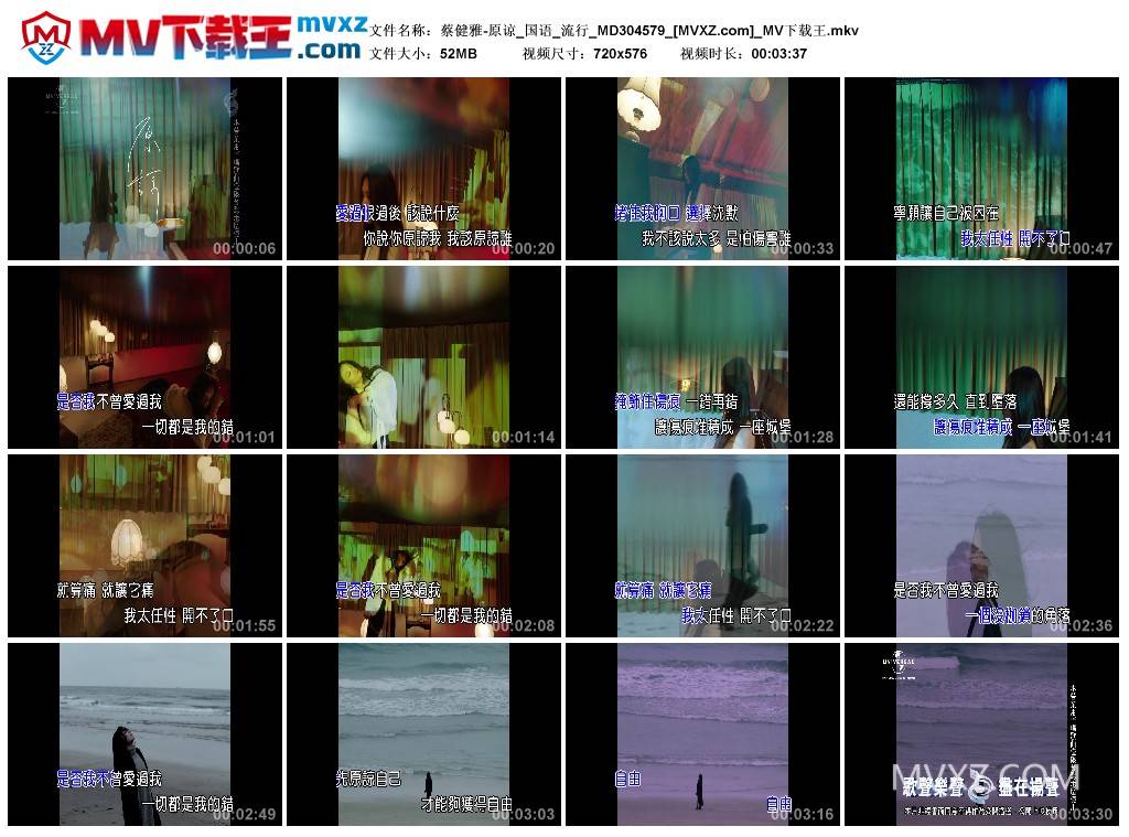 蔡健雅-原谅_国语_流行_MD304579